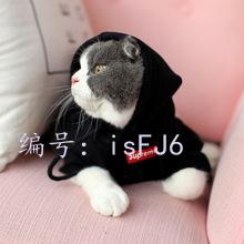 ѧУ
